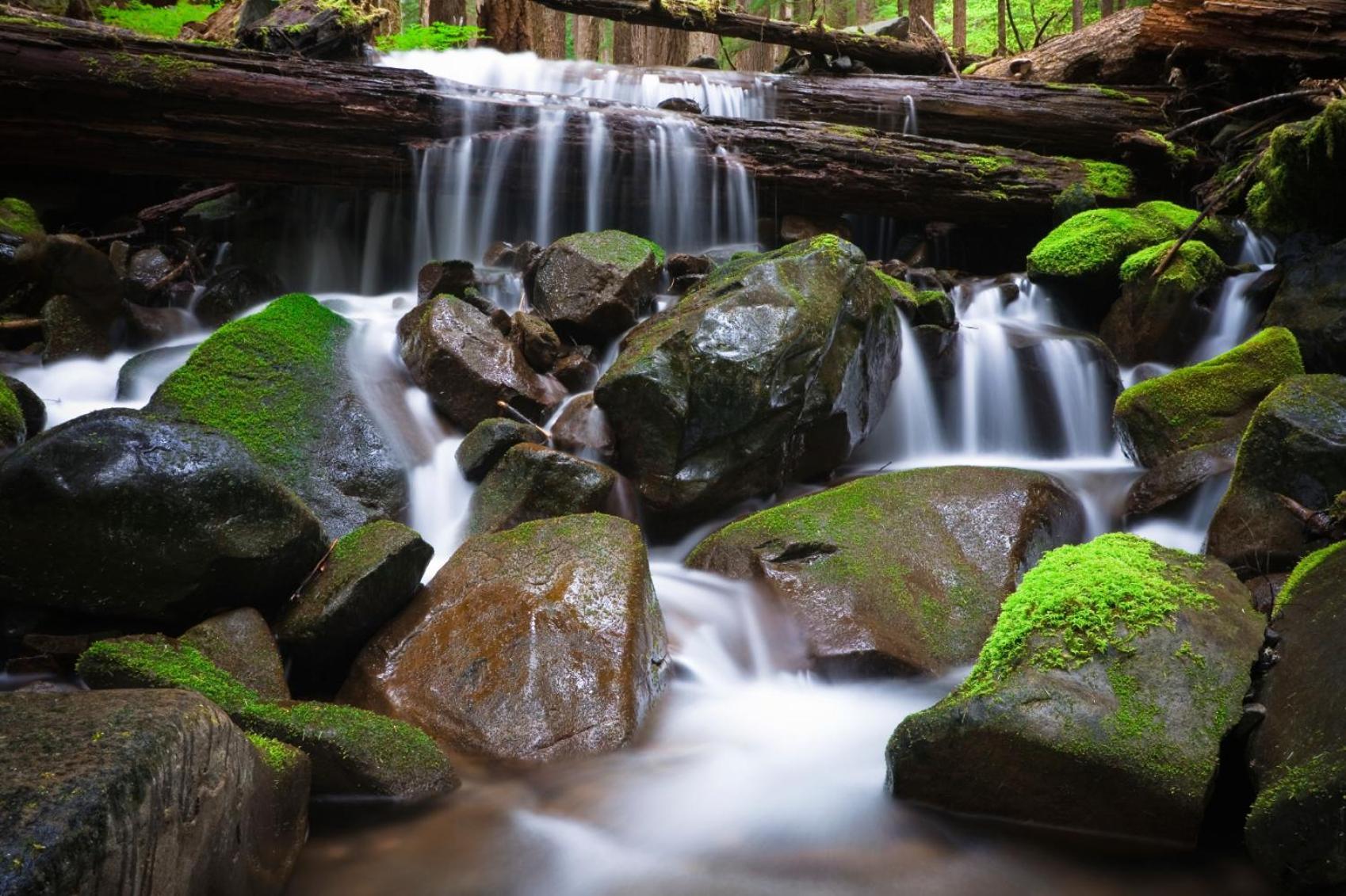 Sol Duc Hot Springs Resort Ovington 外观 照片