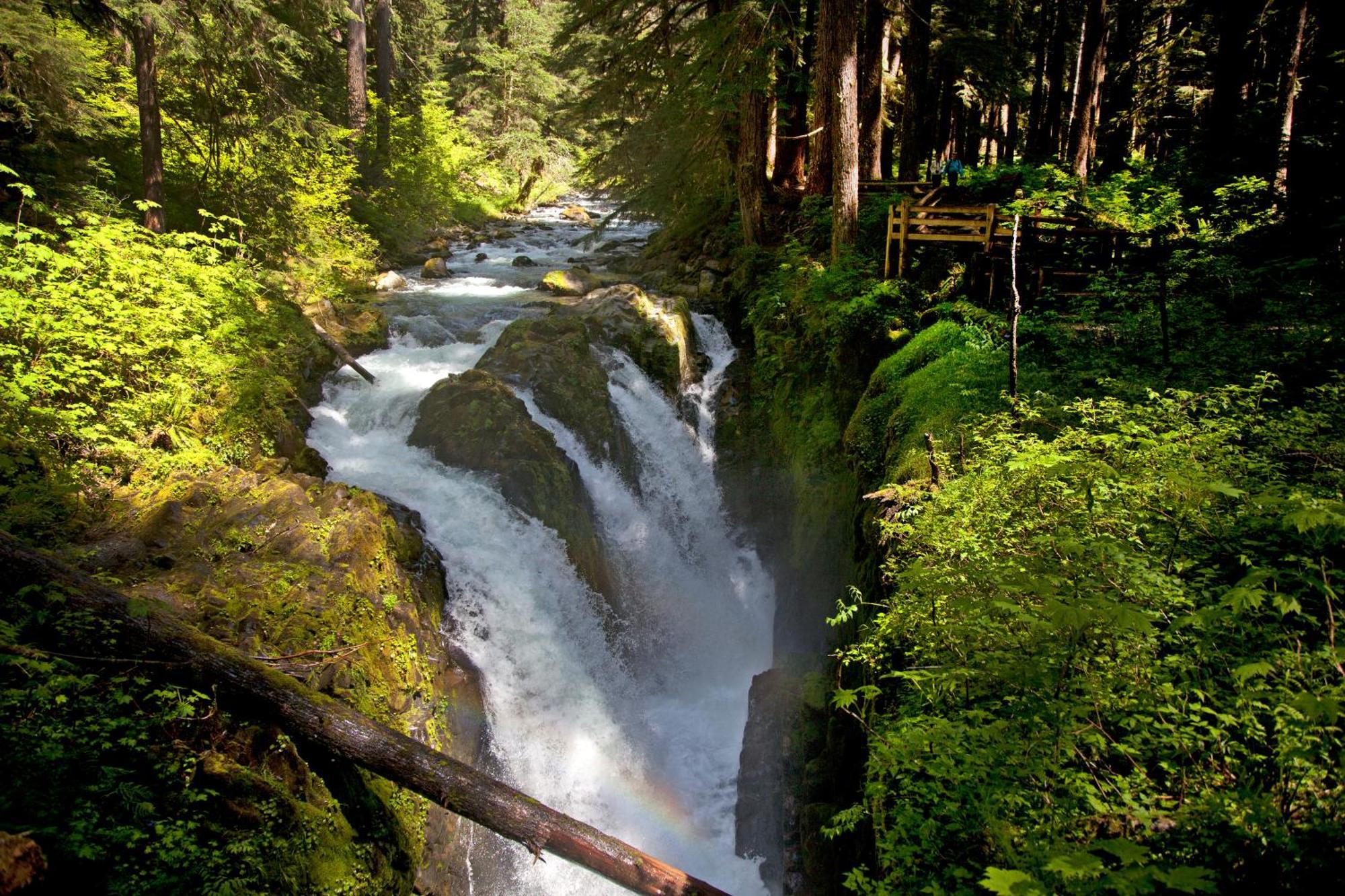 Sol Duc Hot Springs Resort Ovington 外观 照片